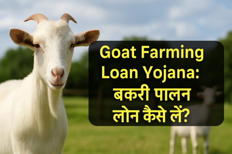 Goat Farming Loan Yojana 2025: बिना किसी बड़ी पूंजी के बकरी पालन से कमाएं लाखों!