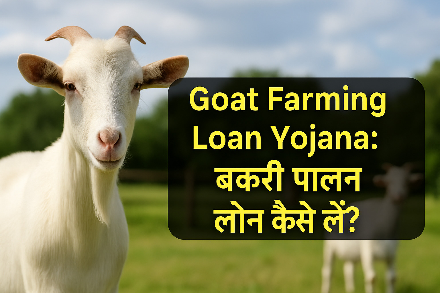 Goat Farming Loan Yojana 2025: बिना किसी बड़ी पूंजी के बकरी पालन से कमाएं लाखों!